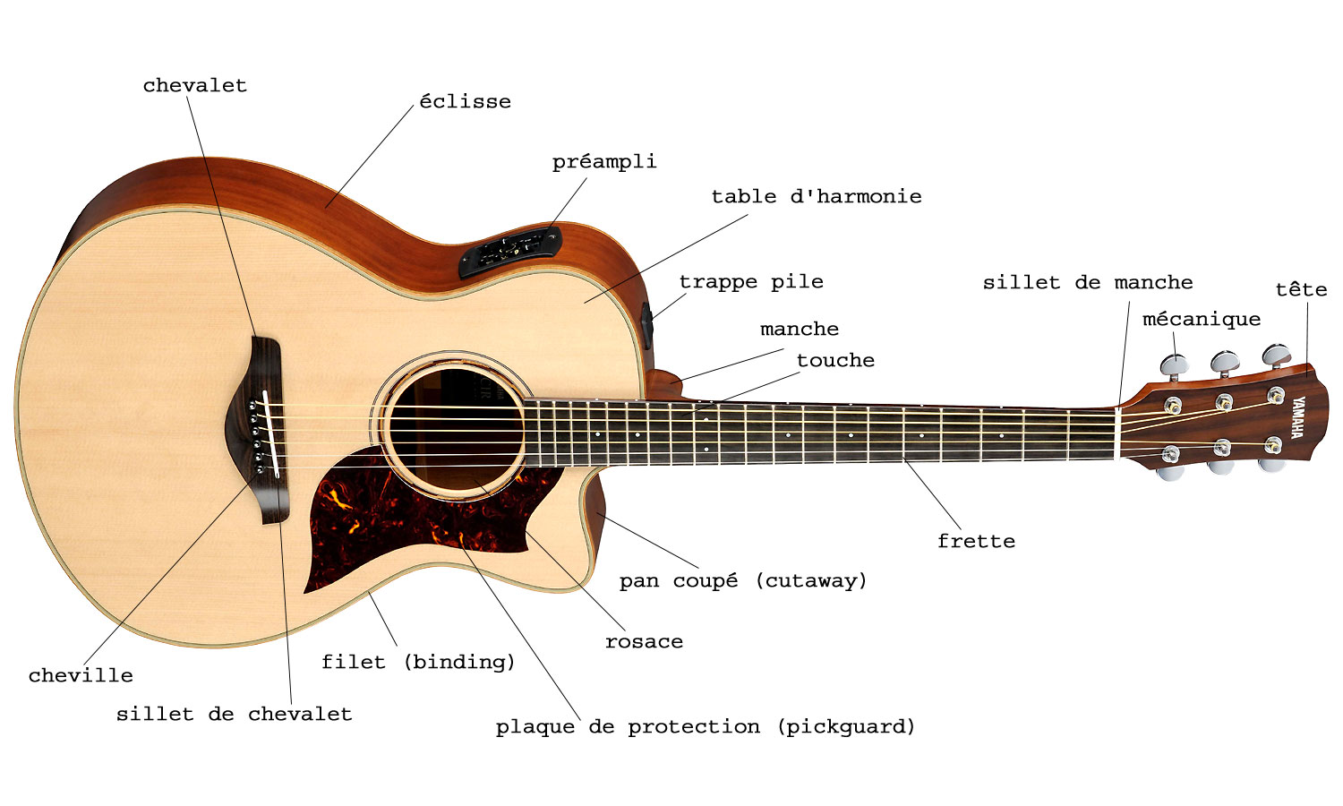 anatomie de la guitare acoustique folk