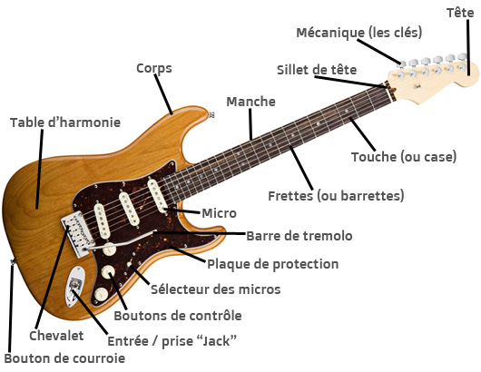 anatomie de la guitare électrique