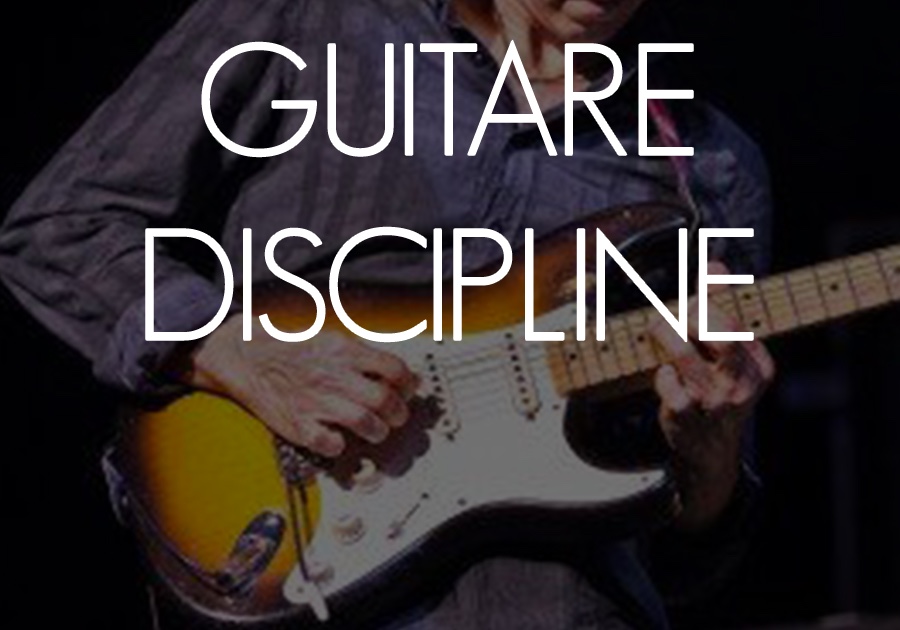 Guitare Discipline - Sébastien Zunino -  25% de réduction
