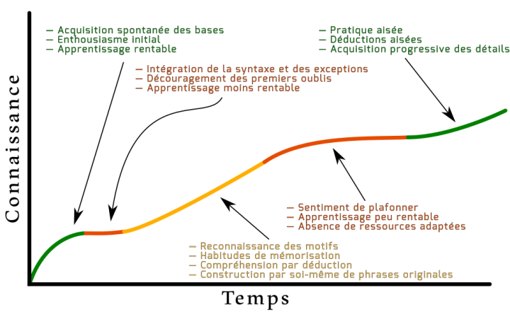 schéma courbe d'apprentissage